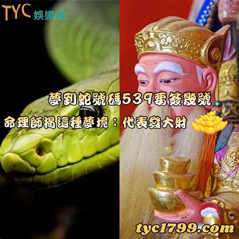 看到蛇要簽幾號|【看到蛇代表什麼數字】看到蛇代表什麼數字？夢境預測539簽注。